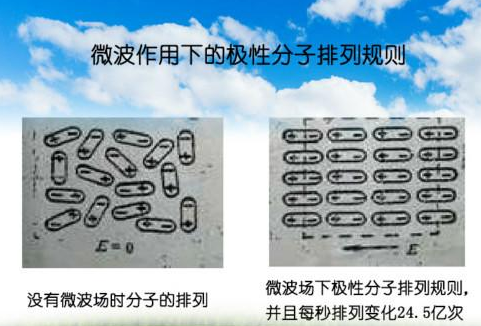 微波加热水分子 微波加热水分子